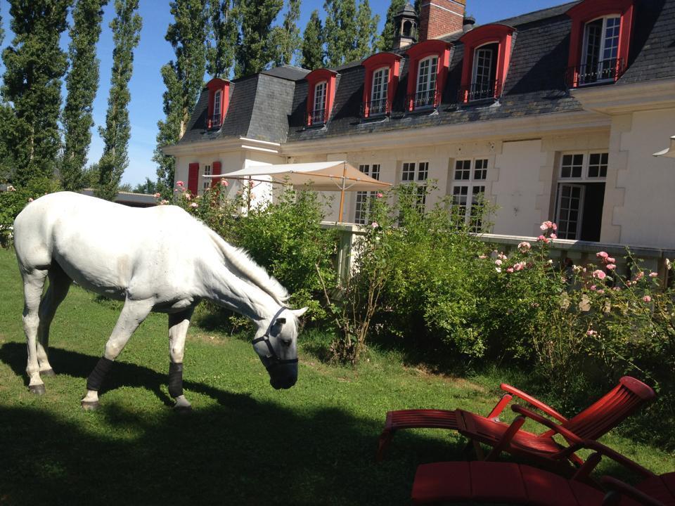 Le Domaine De Barbizon Hotel Saint-Martin-en-Bière Eksteriør billede